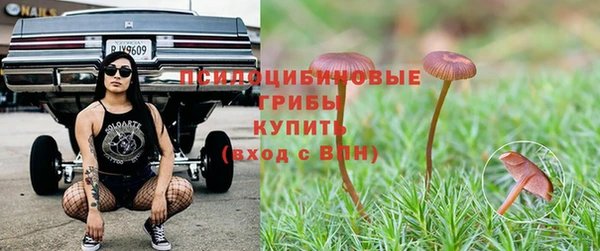 крисы Алзамай