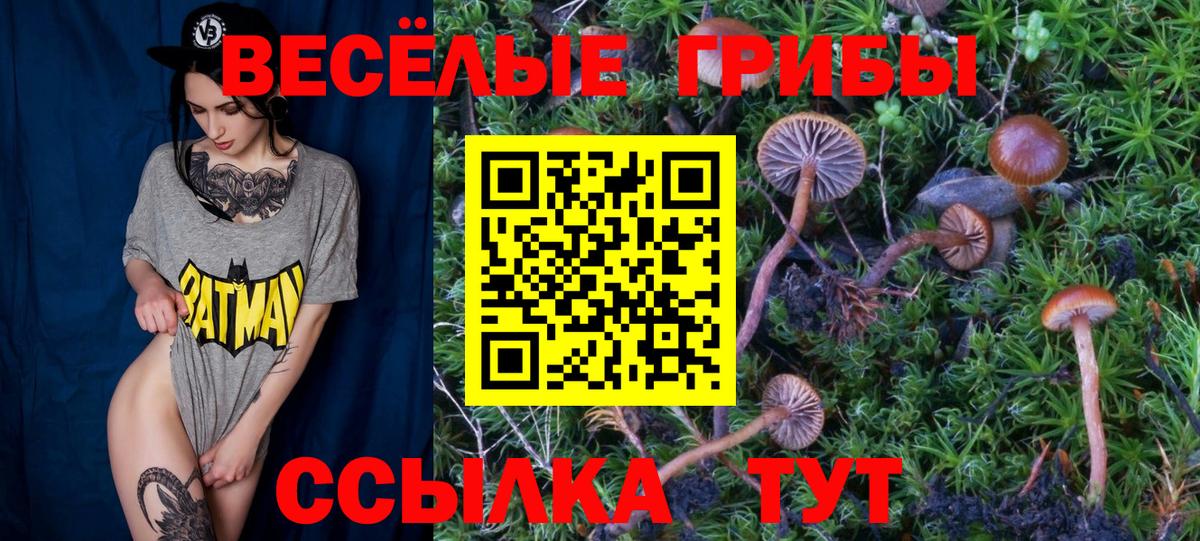 Псилоцибиновые грибы ЛСД  Вход с VPN  Заринск 