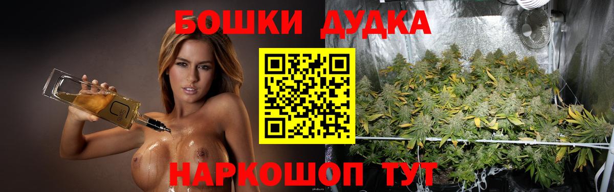 Конопля план  Канабис семена  Вход с VPN  Заринск 